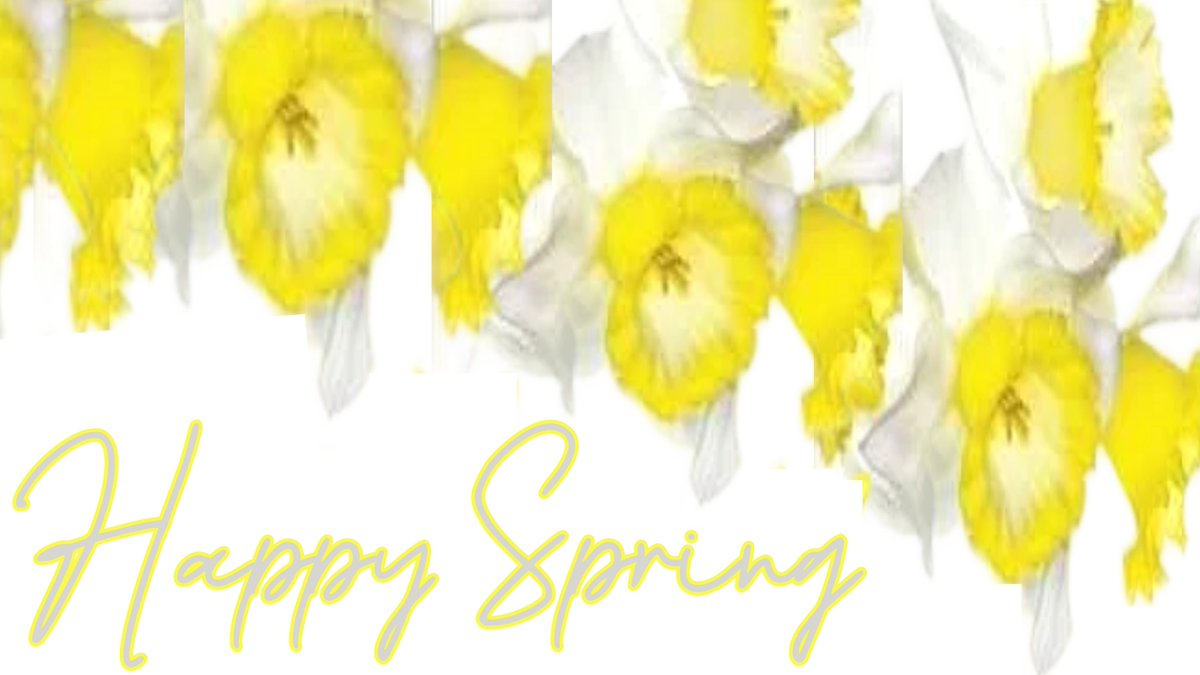 Janis Kay Urban tweet media