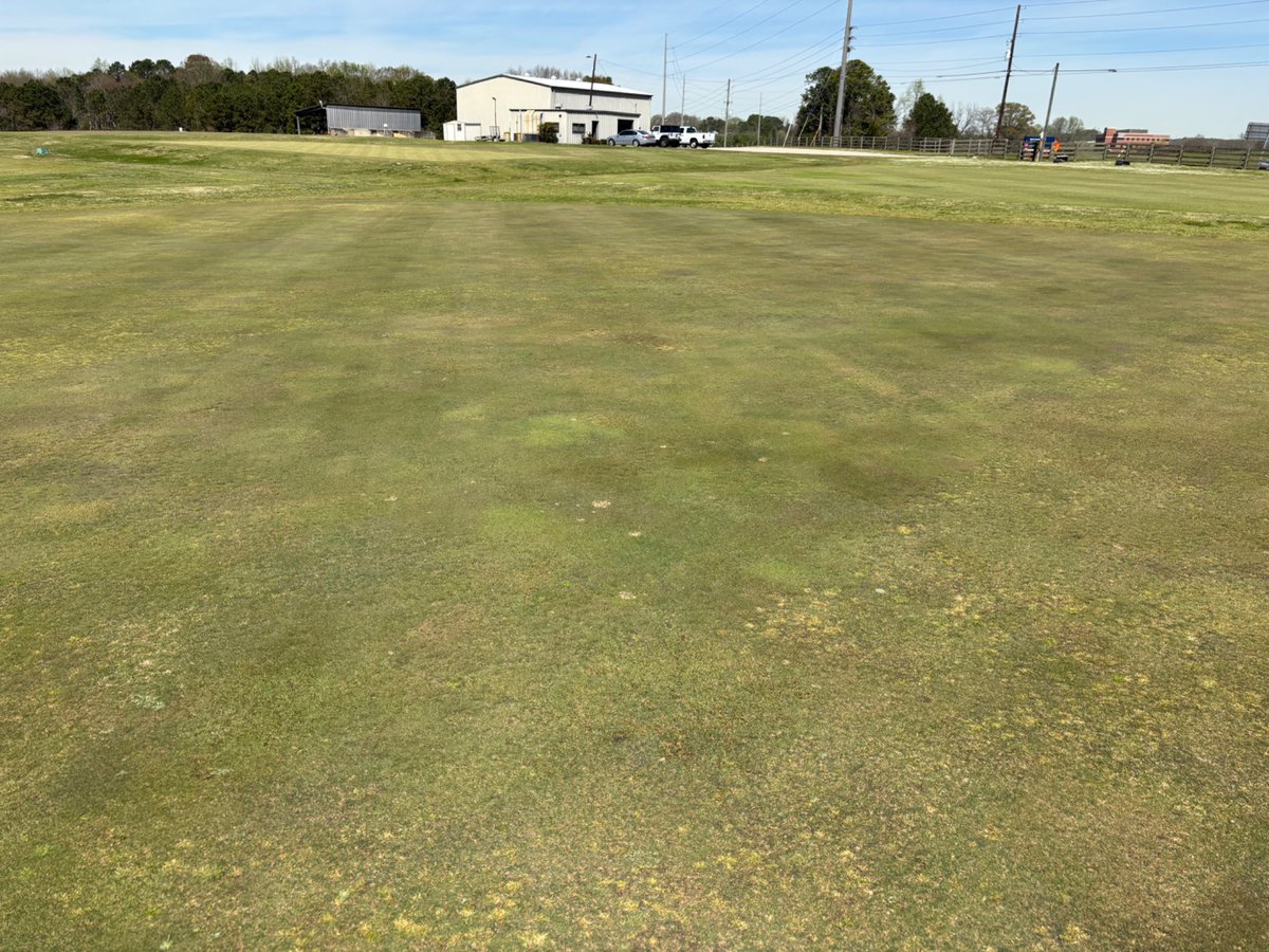 Auburn University Turfgrass Management tweet media