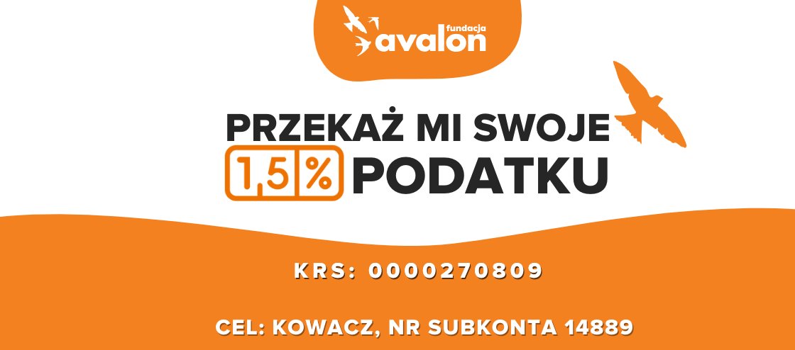 Proszę wszystkich o odpisanie 1,5% od podatku, cała kwota zebrana będzie na mieszkanie, leczenie moje oraz na moje kociaki bezdomniaki. Proszę odpiszcie dla mnie 1,5% to was nic nie kosztuje a dla mnie jest to na wagę życia.