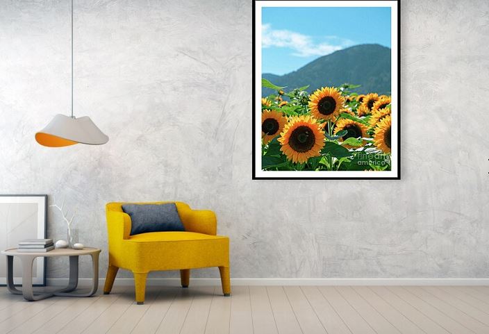 Sandi OReilly @sandioreilly
Sunflowers Field Blue Ridge Mountains &gt; HERE: fineartamerica.com/featured/sunfl…

#sunflowers #flowers #floral #happy #field #blue #ridge #mountains #parkway #travel #spring #photograph #wallart #prints &amp;on #products more #artwork Here:sandi-oreilly.pixels.com