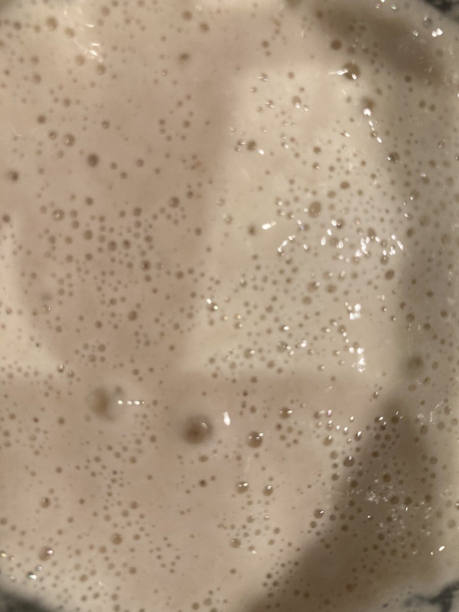 #soughdough in a loaf 🍞 tin … softer with a thin crust. What’s your favourite Scottish 🏴󠁧󠁢󠁳󠁣󠁴󠁿 sandwich filling ? <a href="/CrispsOfBritain/">British Crisps</a> <a href="/BeingScots/">Being Scottish</a> <a href="/ScottishFood/">Scottish Food</a> <a href="/foodscotland/">Taste of Scotland</a>