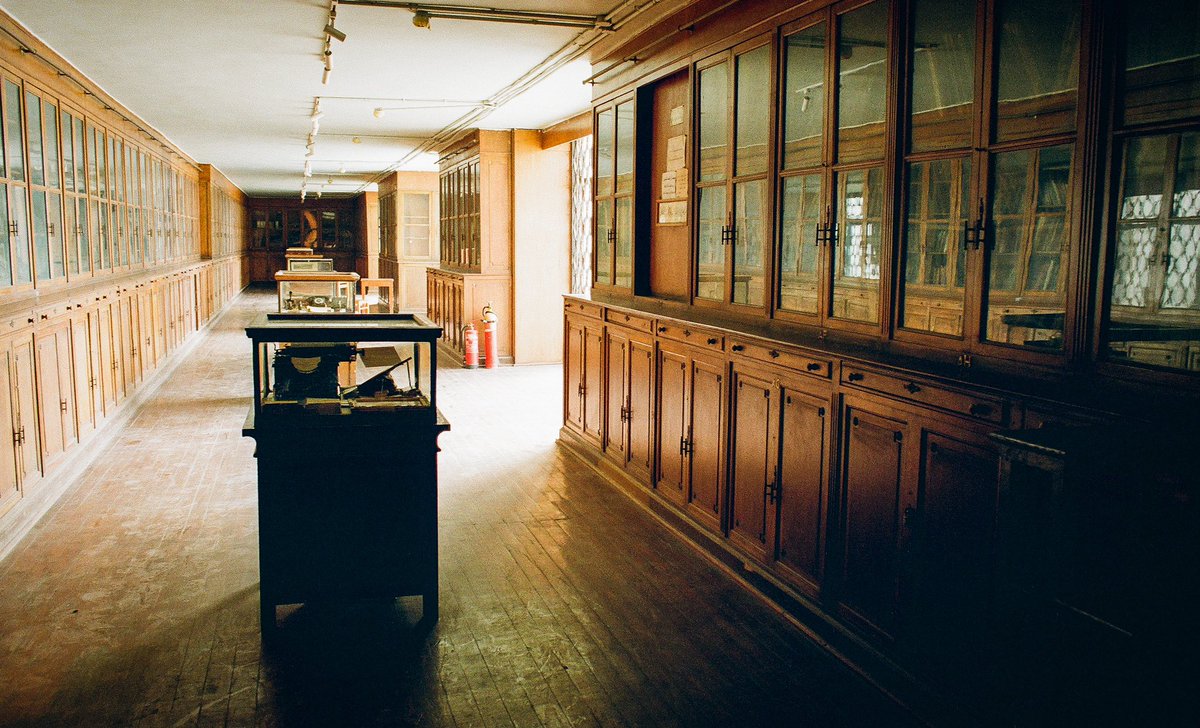 Andrew Purcell tweet media