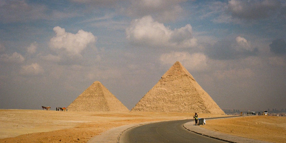 Andrew Purcell tweet media