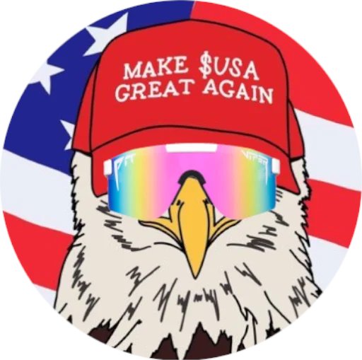 American Coin 🇺🇸🦅 tweet media