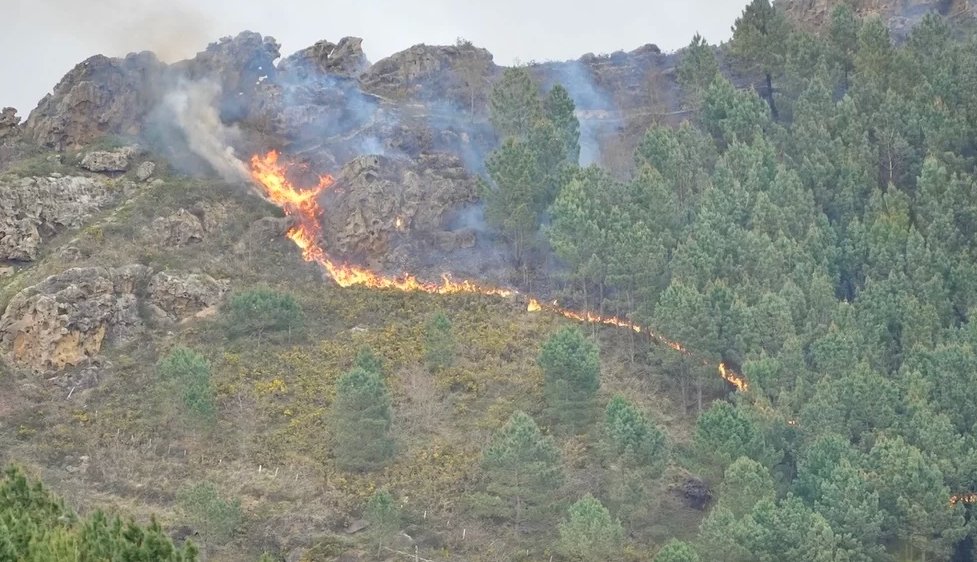 naiz_info's tweet photo. Sofocado un frente del incendio de Jaizkibel mientras se declara otro en Ortuella https://t.co/QSvFKsb13e https://t.co/WXaoUp5EJy