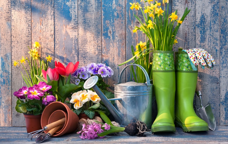 LandscapeTurf's tweet image. ☀️ Gorgeous weekend ahead! ☀️
Perfect time to tackle those turf & lawn projects! 🌱💪 We're open Saturday—stop in and get what you need to make your yard or field shine! 🏡🏟️
#WeekendProjects #LawnCare