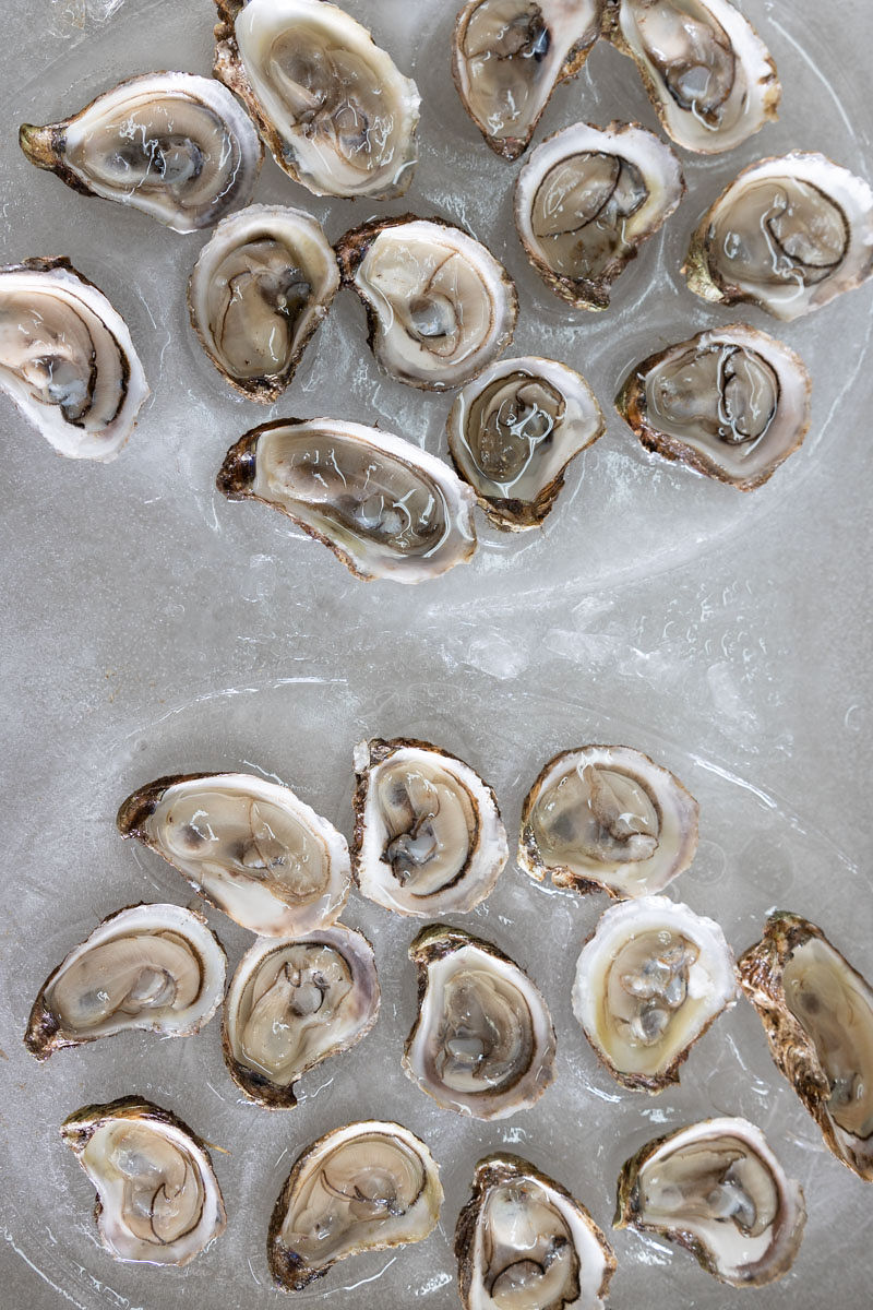 AlimentsNB's tweet image. Bonne Journée internationale de la Francophonie ! 
Le Nouveau-Brunswick a une histoire enracinée dans le patrimoine français. Notre riche culture acadienne signifie que nous avons certaines des meilleures saveurs acadiennes disponibles dans tous les coins de la province !