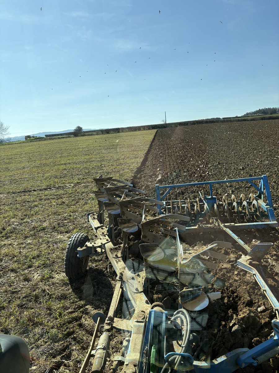 In Somerset today- best job in the world