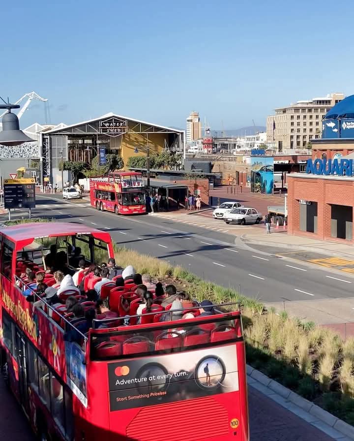 tebhefner's tweet photo. 📌CAPE TOWN TOUR PACKAGE 2025/26

Bookings- 76 691 220 ( Watsapp). https://t.co/R7X3nh5OgY