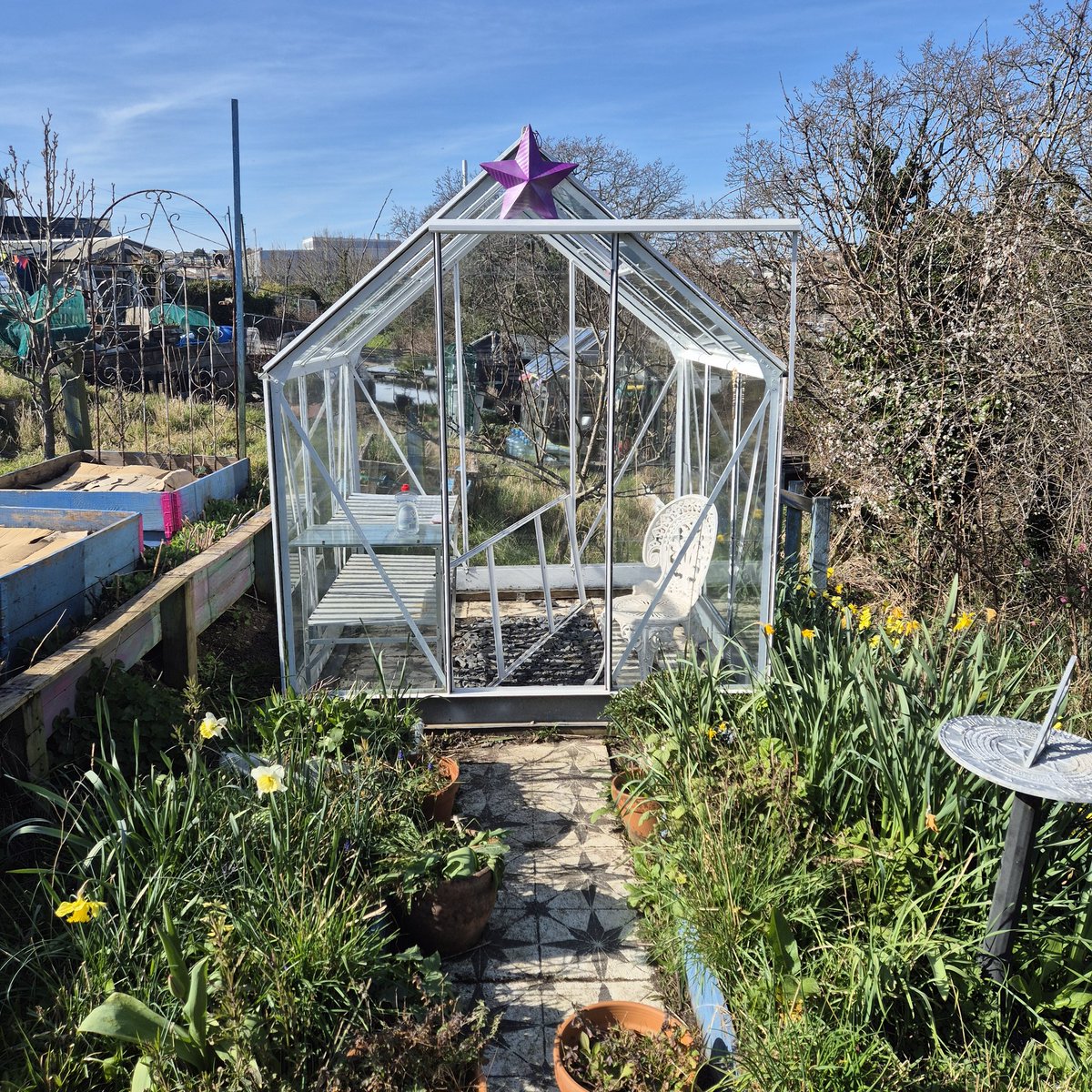lovely_plot's tweet image. What better way to celebrate the first day of #spring than by putting up bean supports?! 🫘
I&apos;ve planted out the first batch of the sweet peas &amp;amp; sowed parsnips😍
Seen a brimstone, comma and peacock butterflies and counted 6 bumblebee queens! 🐝 🦋 
Spring is definitely here 💛