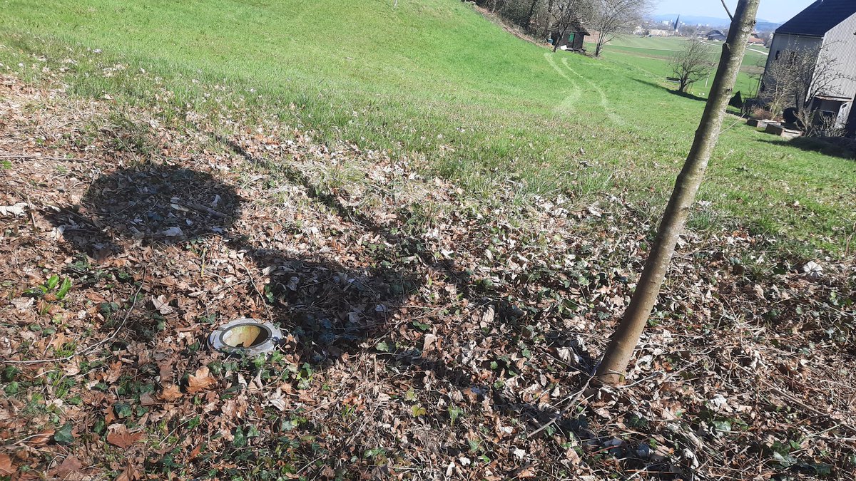 FrogThePlanet's tweet photo. #bufobufo trapped in a hole.

#frog #Frosch #frogladder #Froschleiter #Amphibienschutz #Amphibianconservation https://t.co/q2sZXy90l0