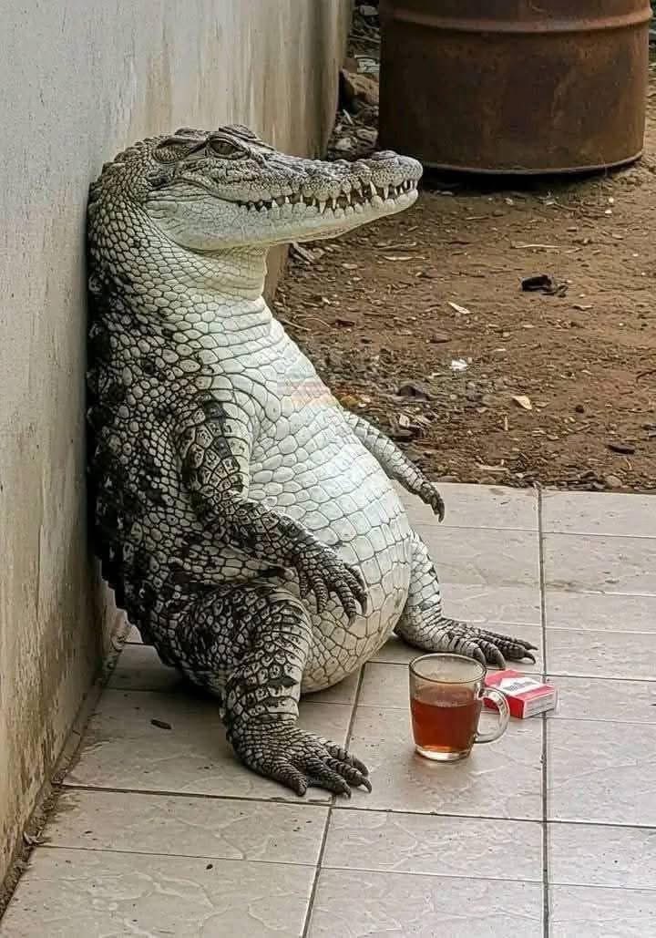 samer (@samdtw1) on Twitter photo 