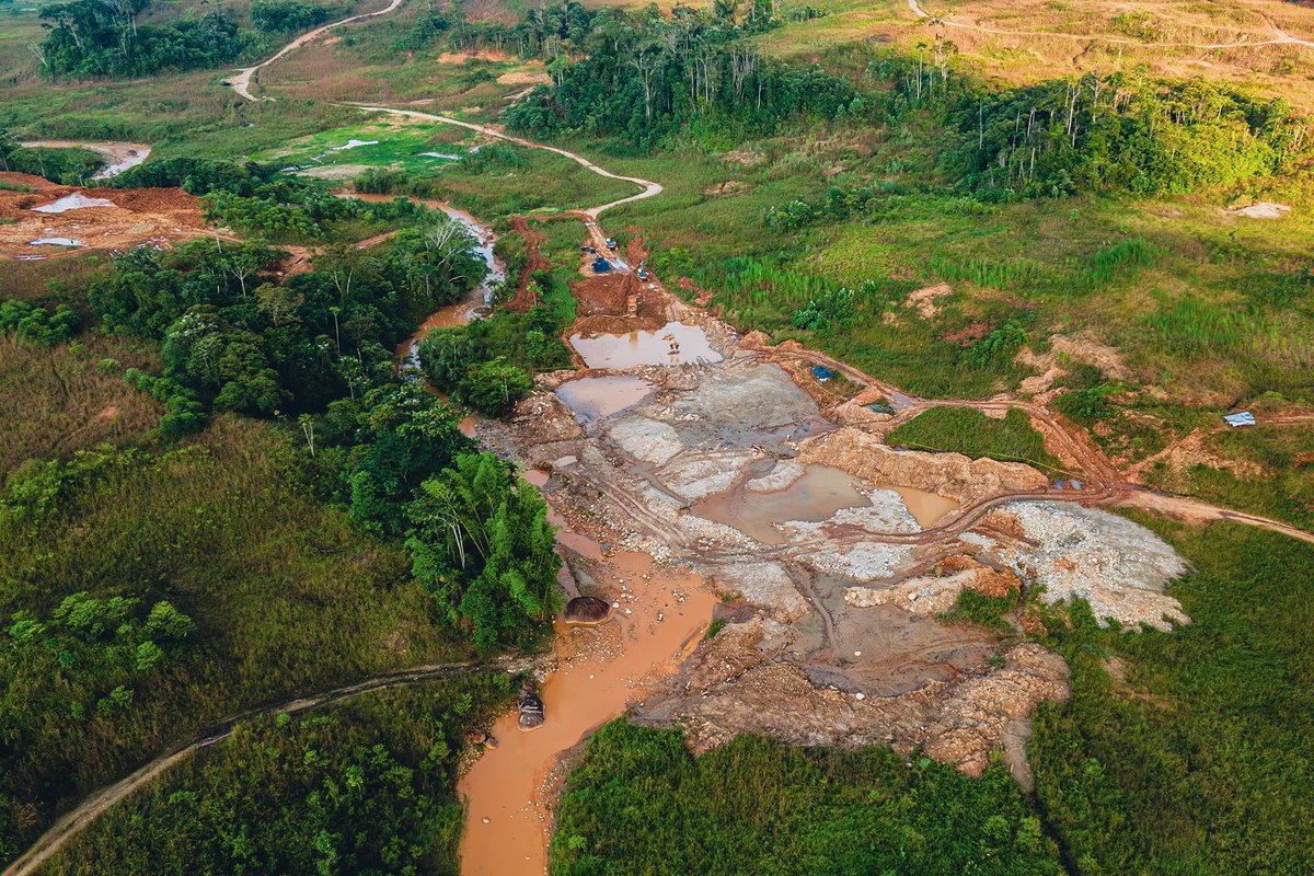 Khamai Foundation (@khamai_bio) on Twitter photo Opportunity to make a positive difference on #WORLDFROGDAY!
A new population of the #ENDANGERED Spotted Rocket #Frog has been detected in an area within the expansion plan for an open-pit gold mine.
Help <a href="/khamai_bio/">Khamai Foundation</a> secure the rocket frog’s habitat.
👉 khamai.bio/news/rocket_fr… Opportunity to make a positive difference on #WORLDFROGDAY!
A new population of the #ENDANGERED Spotted Rocket #Frog has been detected in an area within the expansion plan for an open-pit gold mine.
Help <a href="/khamai_bio/">Khamai Foundation</a> secure the rocket frog’s habitat.
👉 khamai.bio/news/rocket_fr…