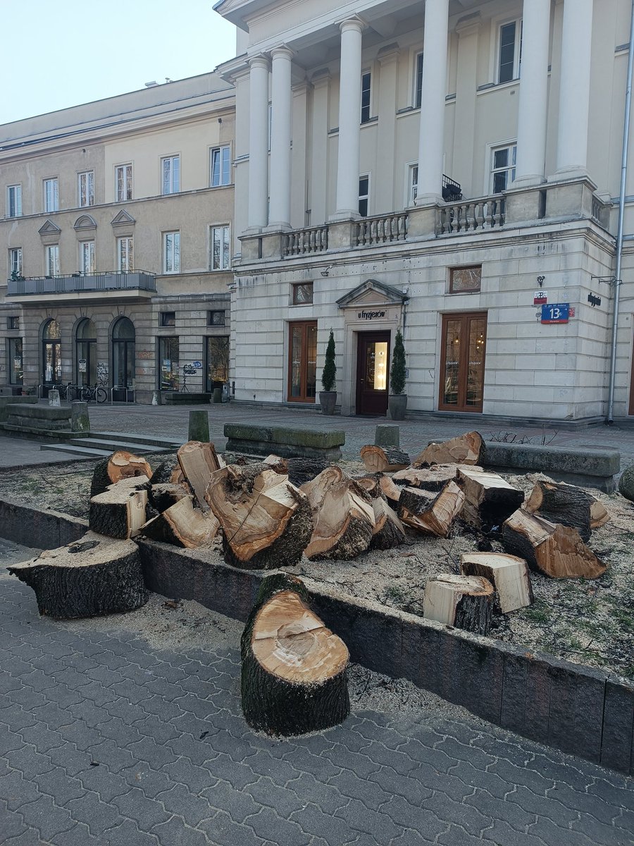 Drzewo, które przetrwało Hitlera, nie dało rady Trzaskowskiemu.

#rafalala