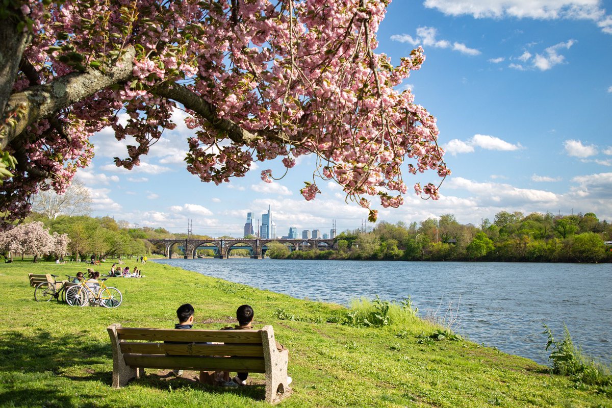 Happy 1st day of Spring, Philly! Blossoms, Baseball, and Tulips soon to follow!