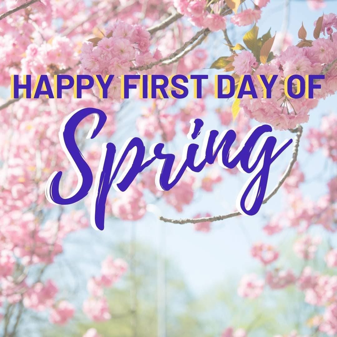 #MITTspring 🤙🏾