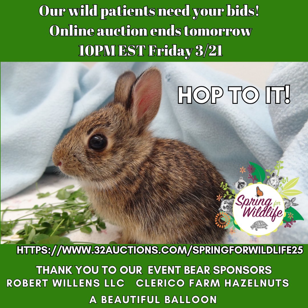 Bidding ENDS TOMORROW, Friday 3/21 at 10pm 32auctions.com/springforwildl…

HOP TO IT! We have 200 items to appeal to all; including celebrity autographed memorabilia, incredible artwork, gift cards, jewelry, exciting experiences and more!

#virtualauction #charityfundraiser #njevents