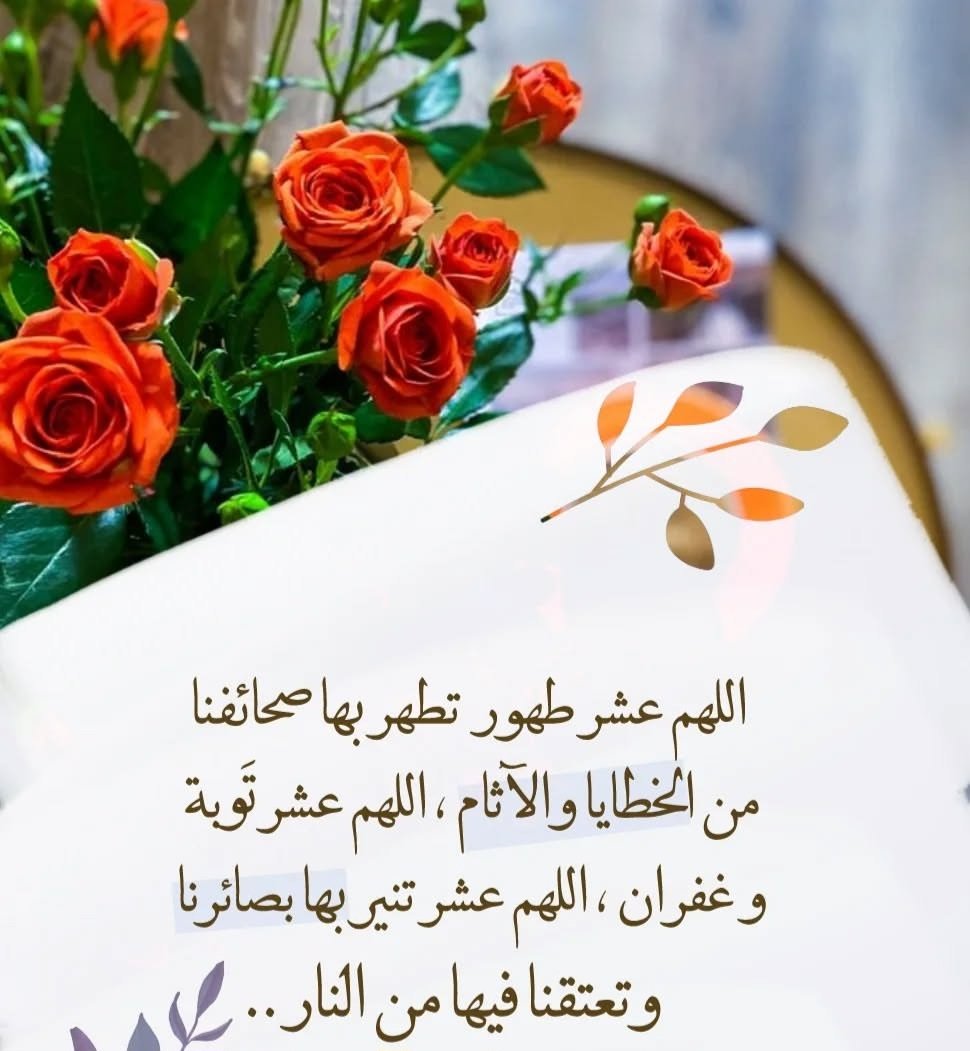 alshihhi tweet media