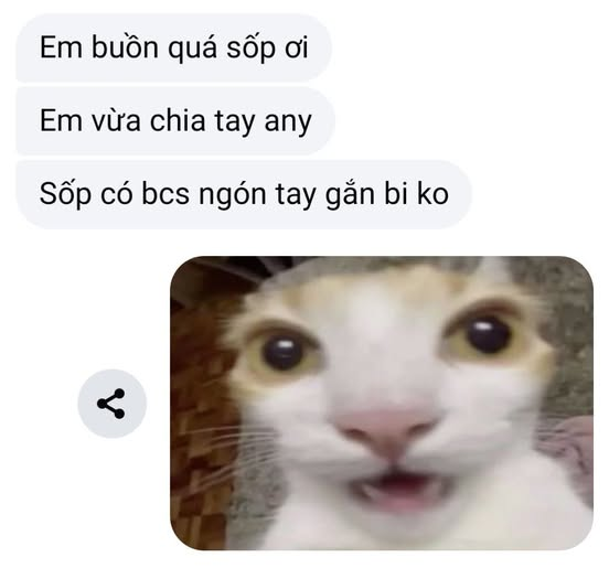 ủa ủa...gì vậy...
