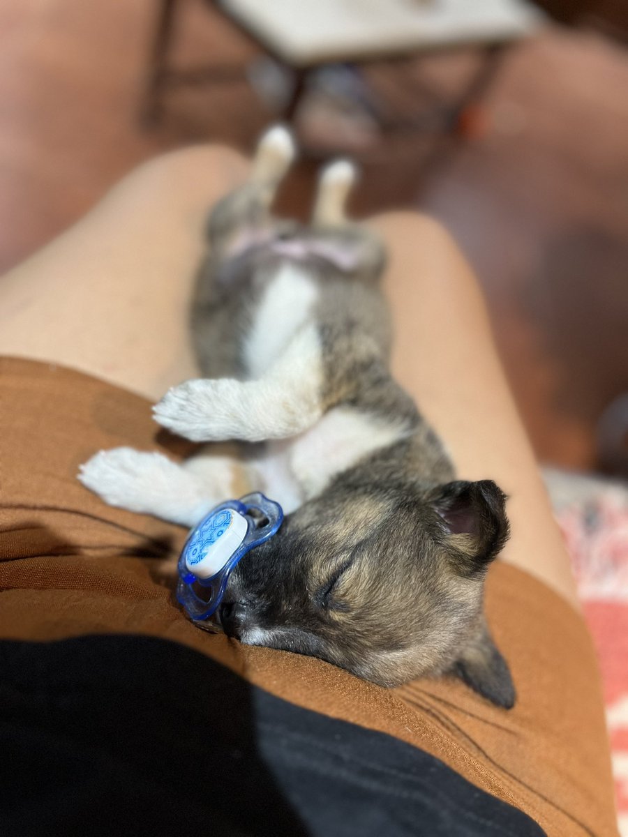 mi bebito💙🥹
