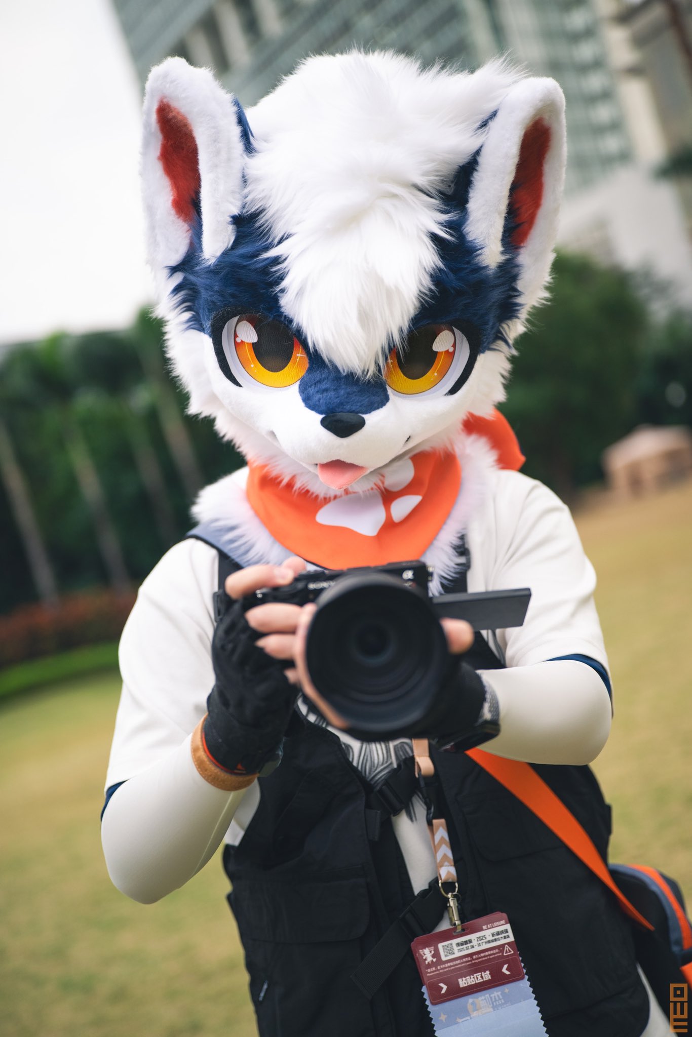赤い狐と緑の狸 Red fox and green tanuki . . . #chihirohowe