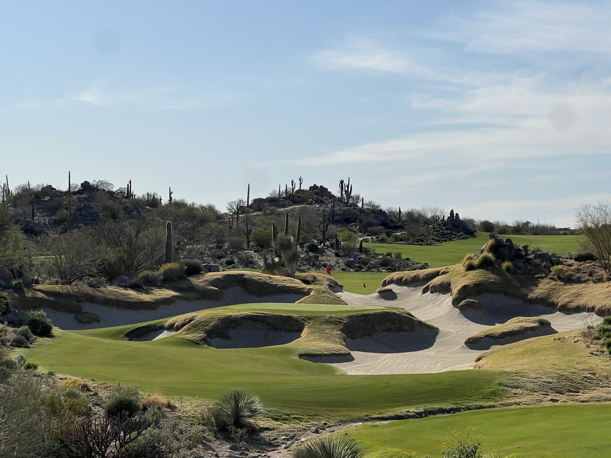 Bendelow Greens tweet media