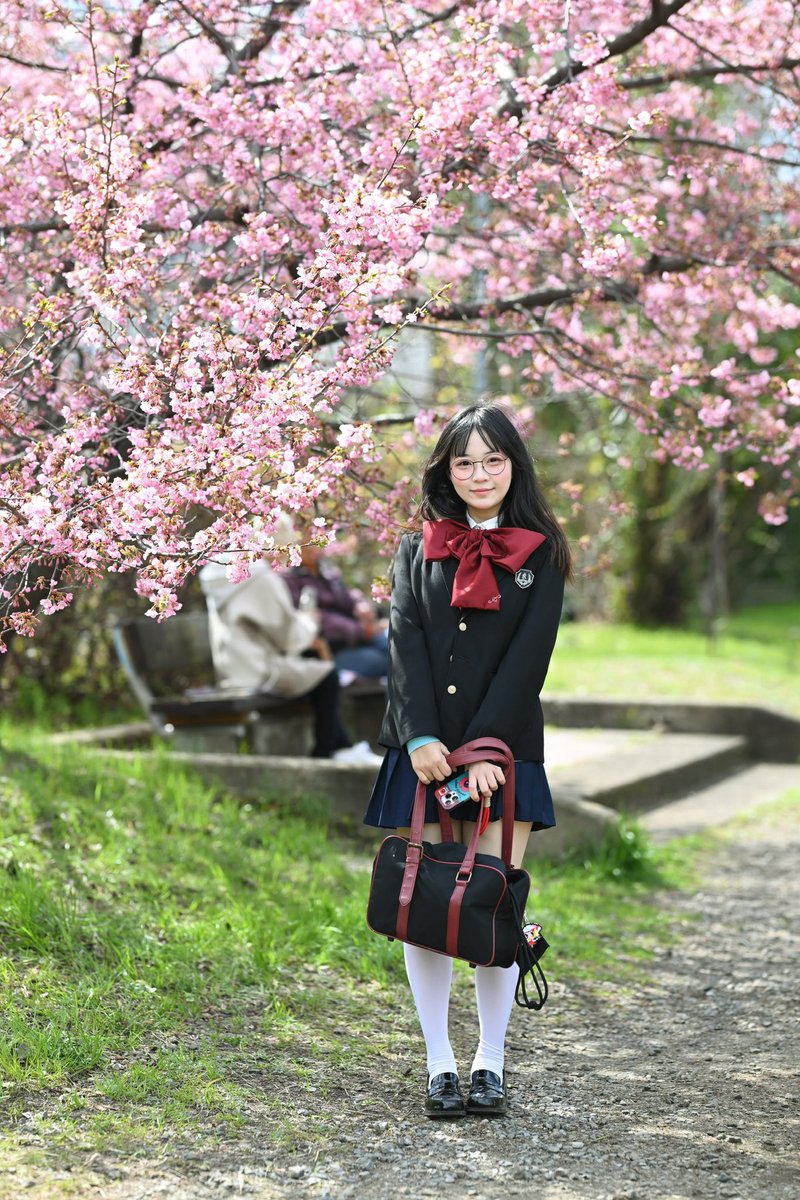 yukiiiiiai's tweet image. 桜🌸