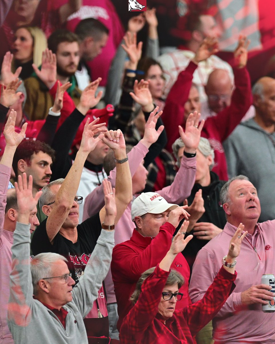 WOOO
PIG
SOOIE!