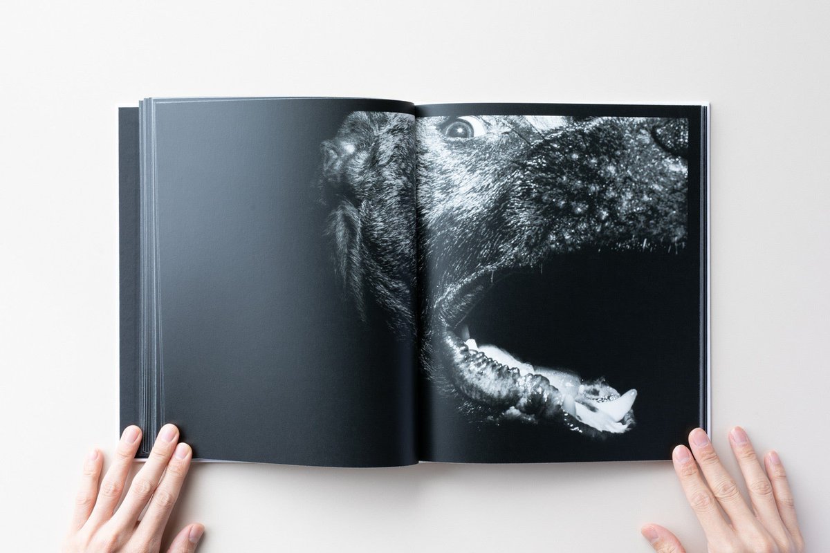 トルコ人写真家、キャグダス・アドワンによる写真集。

『Control』は、2000年代のトルコのダークサイドにスポットを当てる。このイスタンブールの夜の物語には、セックスワーカーや闘犬、銃の暴力や政治的武力紛争の姿が収められている。→

iack.online/products/contr…