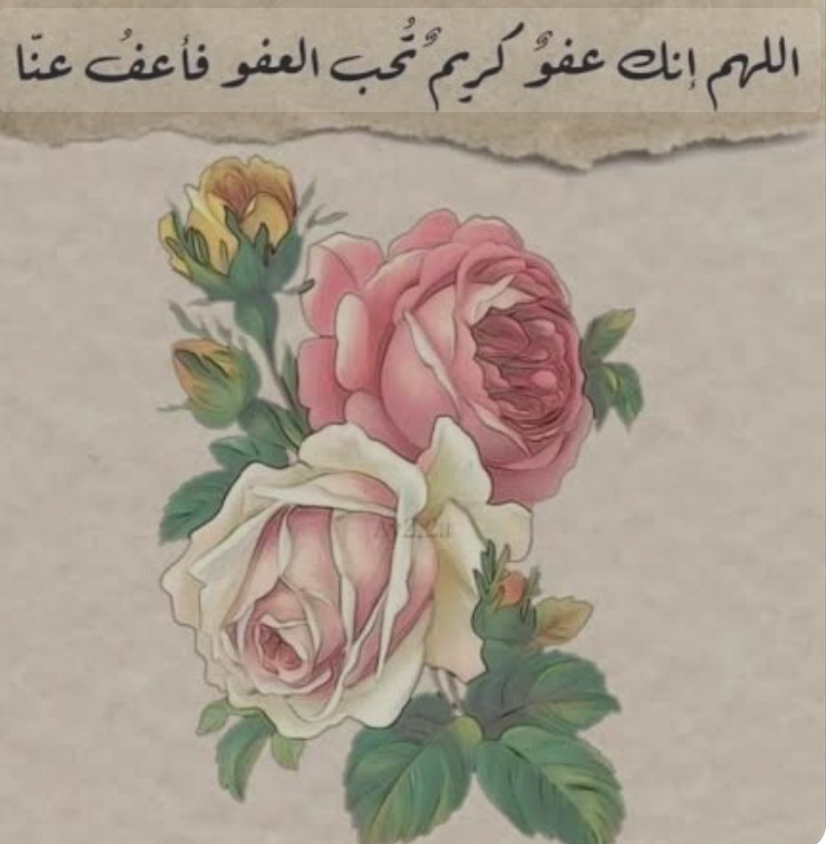 Yousryhegy@gmail.com (@yousryhegy) on Twitter photo 