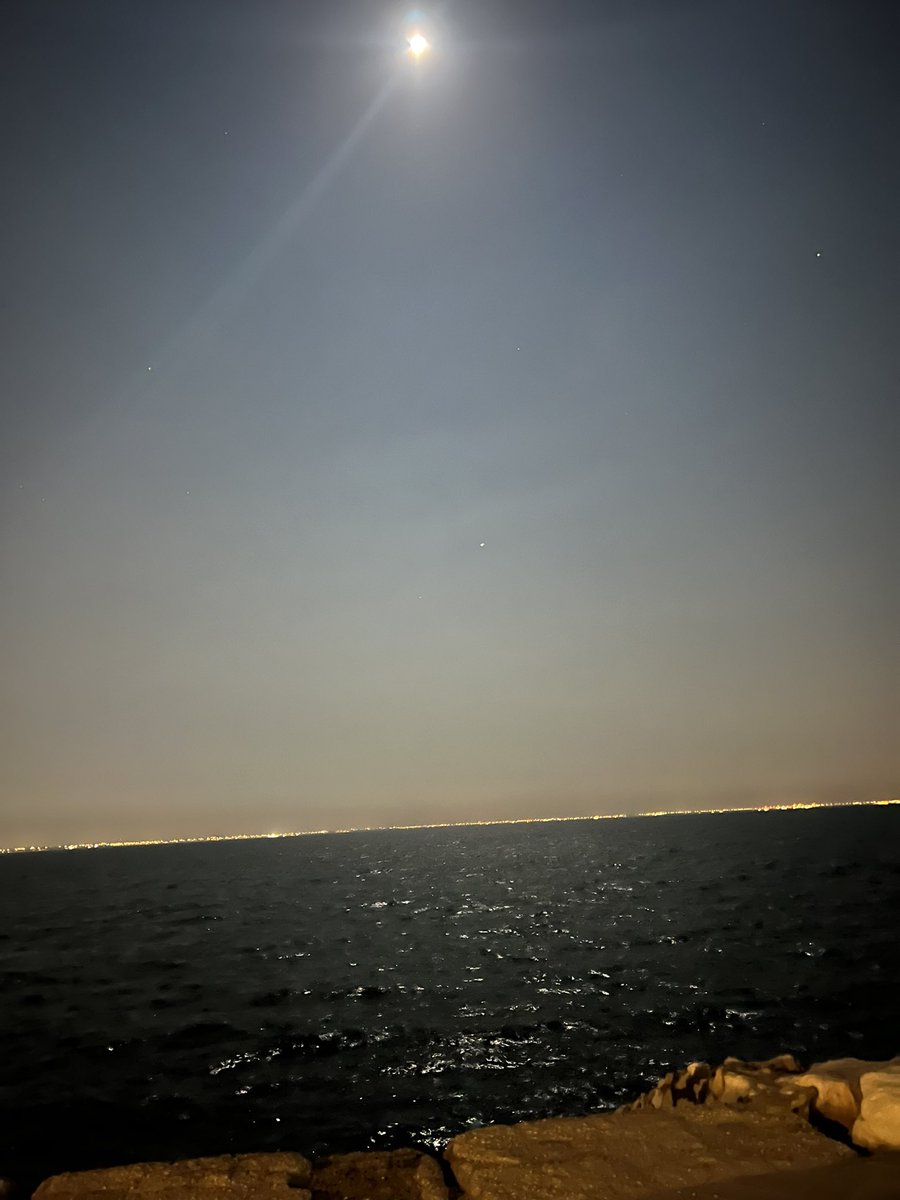 Waleeد (@notwalee) on Twitter photo 