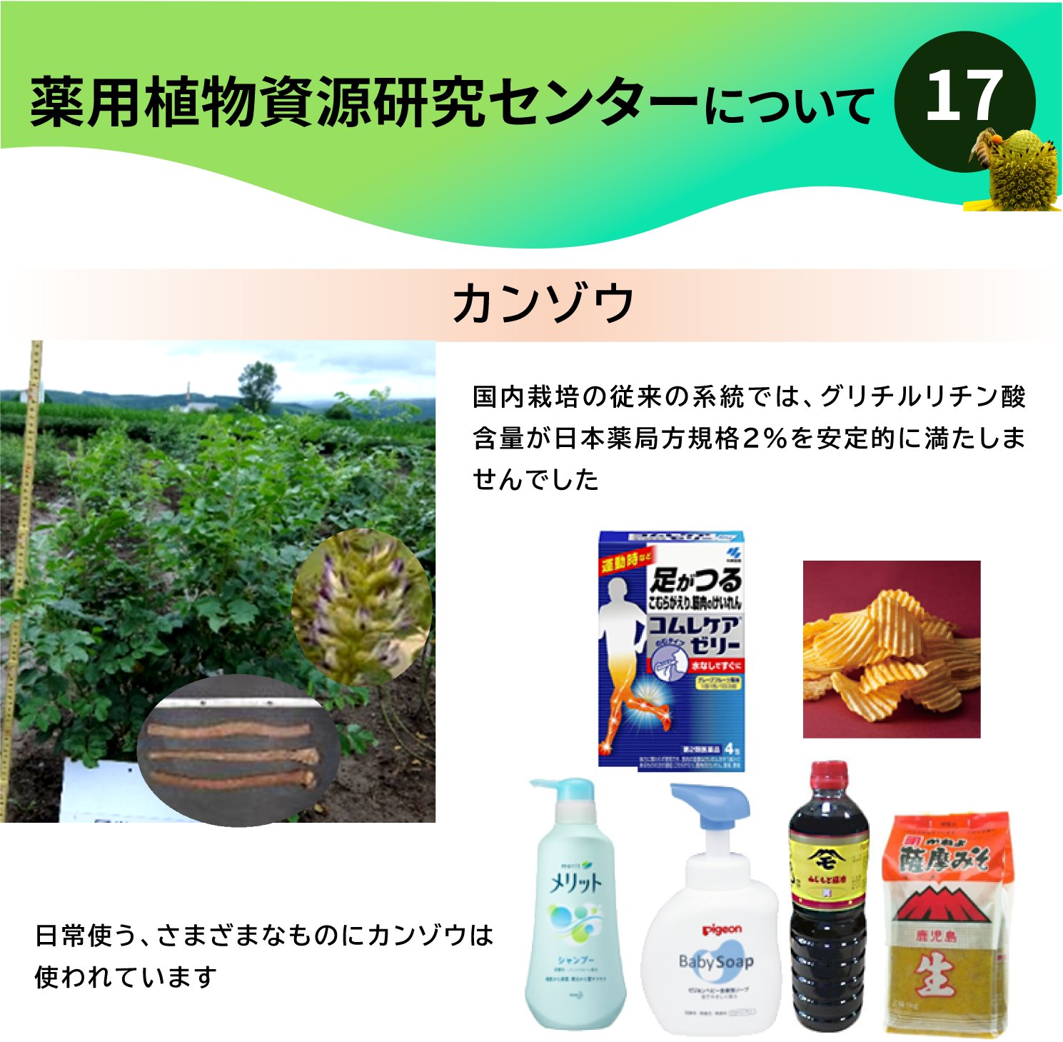 国立研究開発法人医薬基盤・健康・栄養研究所(NIBN 国立研究開発法人医薬基盤・健康・栄養研究所(NIBN