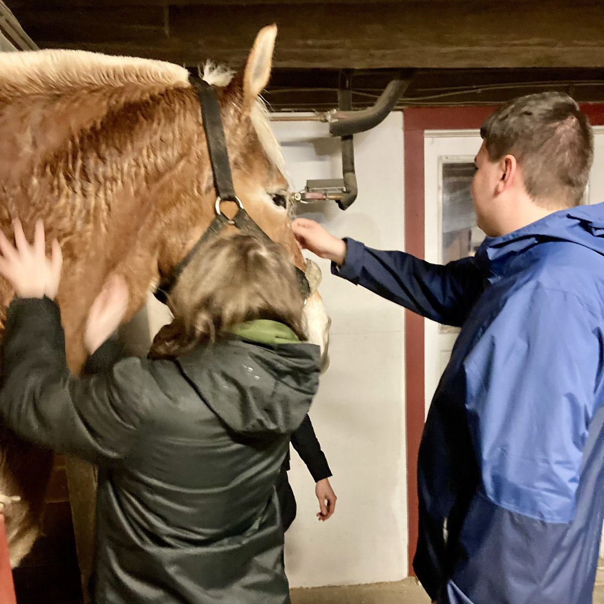monroesheriffny's tweet photo. The Safety Awareness class from @AutismUp’s Full Life Academy toured the MCSO Mounted Unit barn today and made some new friends. https://t.co/Et6CwgihVO