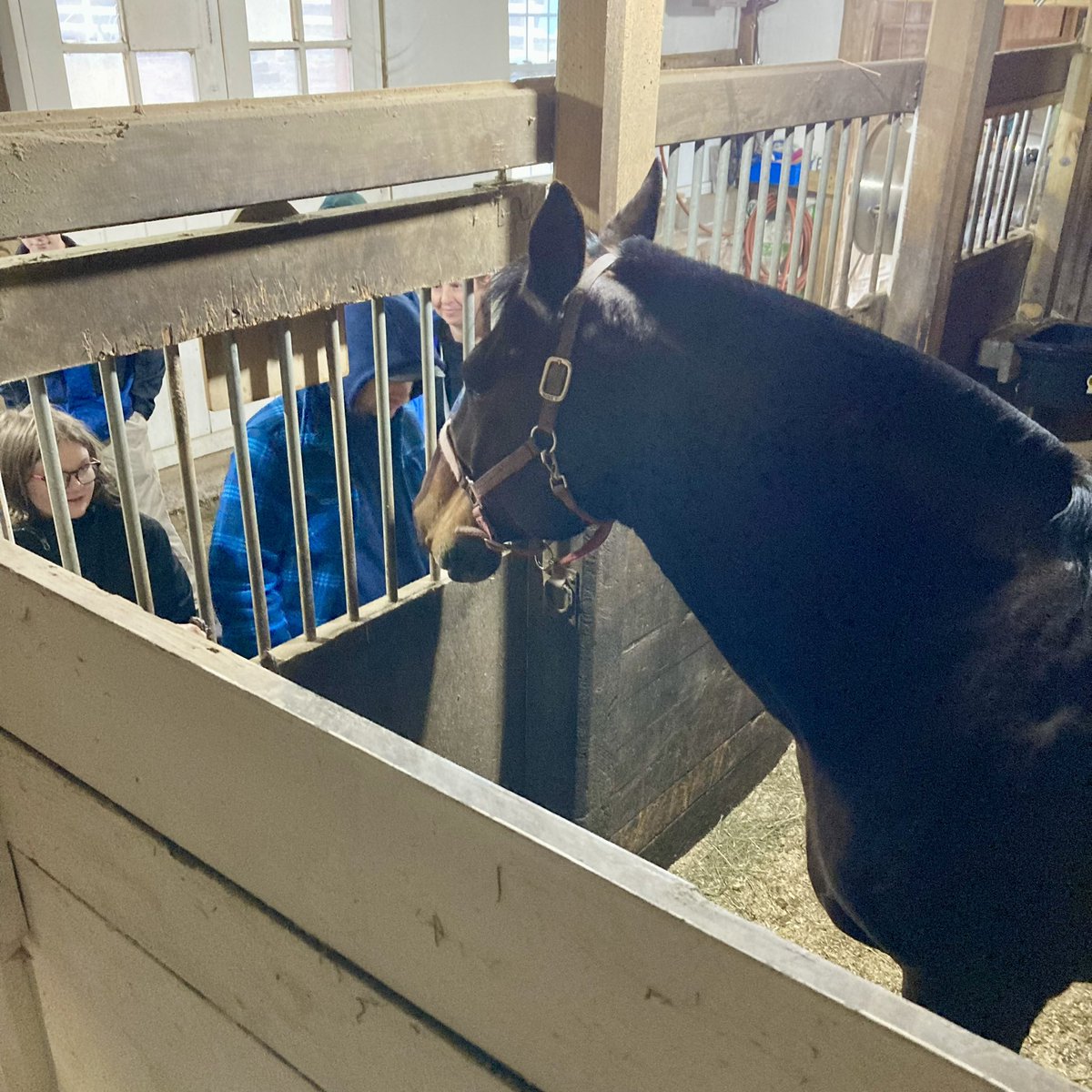 monroesheriffny's tweet photo. The Safety Awareness class from @AutismUp’s Full Life Academy toured the MCSO Mounted Unit barn today and made some new friends. https://t.co/Et6CwgihVO