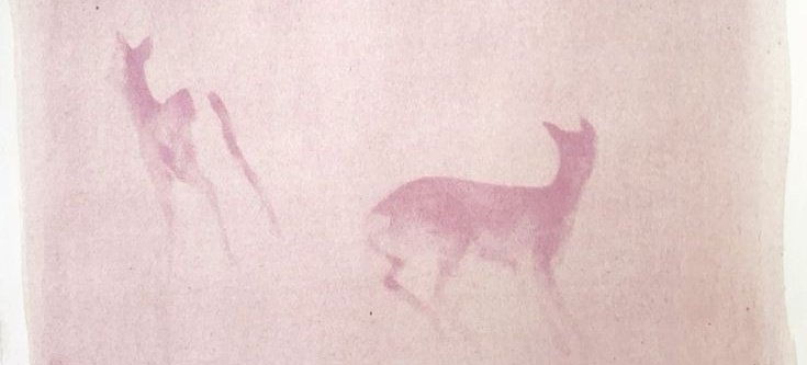 starlet ✦ (38/45 kgs lost) tweet media