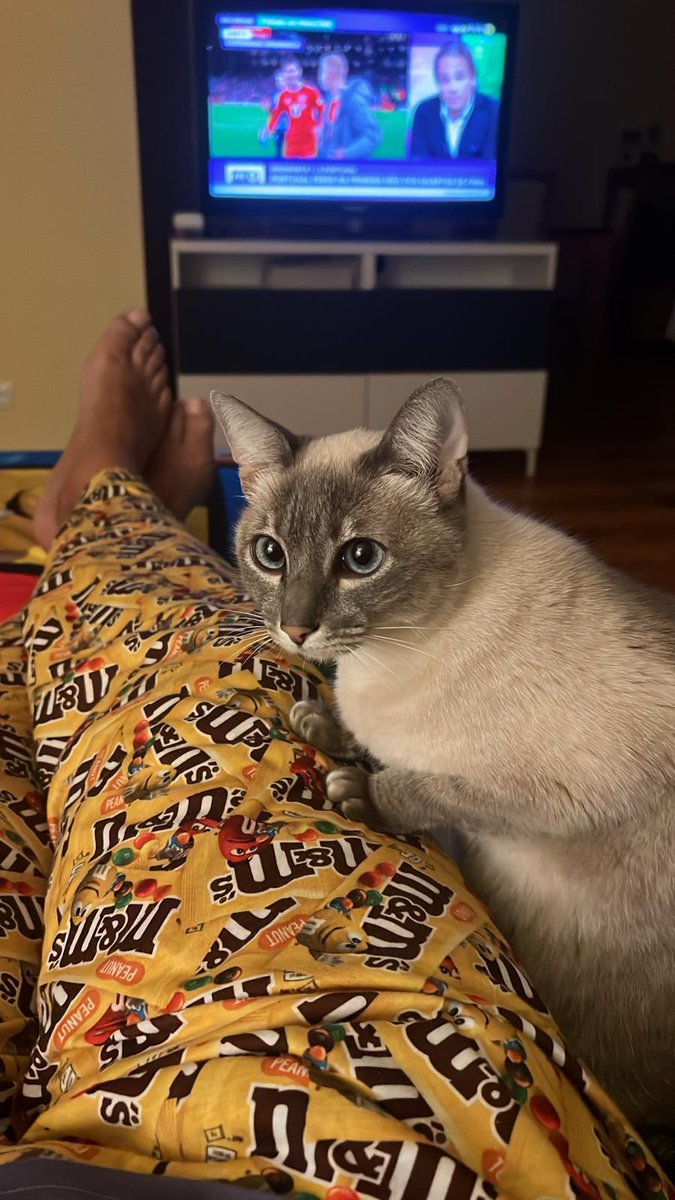Porque é que não estás a olhar para mim?….