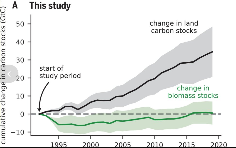 2/5

Instead, most of the carbon ends up in organic non-living reservoirs, both natural reservoirs (dead vegetation, soil organic carbon, sediments in lakes and wetlands) and human-made reservoirs (sediments in dams, landfills, and wood products).