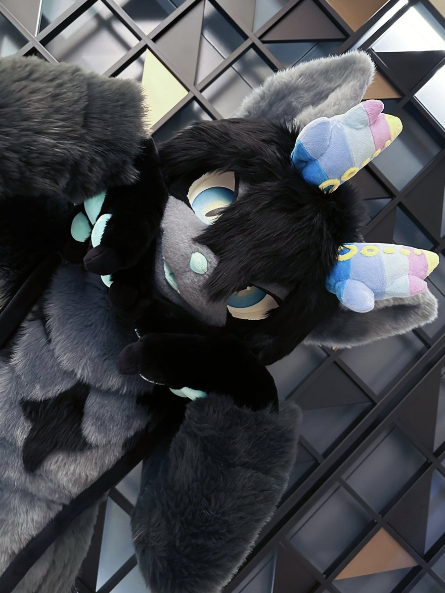 real kitty hours 🐈‍⬛✨