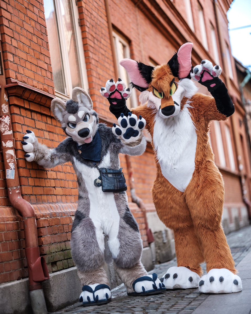 MahkunCoyote🐾FurstClass🇰🇷 (@mahkuncoyote) on Twitter photo Gaoooooo!!! Fluffy monsters in Malmo on a really really happy #FursuitFriday !!!!
#NFC #NFC2025
📸 <a href="/CaptainChaotika/">🌻 混沌的隊長 ➡️ AFC</a> Gaoooooo!!! Fluffy monsters in Malmo on a really really happy #FursuitFriday !!!!
#NFC #NFC2025
📸 <a href="/CaptainChaotika/">🌻 混沌的隊長 ➡️ AFC</a>