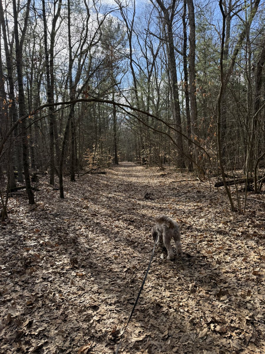 karrie_joy's tweet image. First walk in our trails since November 😳. We definitely needed the quiet, sunny but cold miles this week. 🥶☀️
#firstdayofspring
#alwayswithme