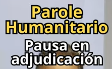 NotaInmigracion's tweet photo. Parole Humanitario: Pausa en sus casos de ajuste #parolehumanitario #cubanosporelmundo #inmigracion 
El abogado de inmigración Alejandro Vázquez explica si la pausa de AJUSTE de personas con PAROLE HUMANITARIO permite que SIGAN APLICANDO.
VER VIDEO: https://t.co/TwAjbuVSGO https://t.co/kYeyTmQNt6