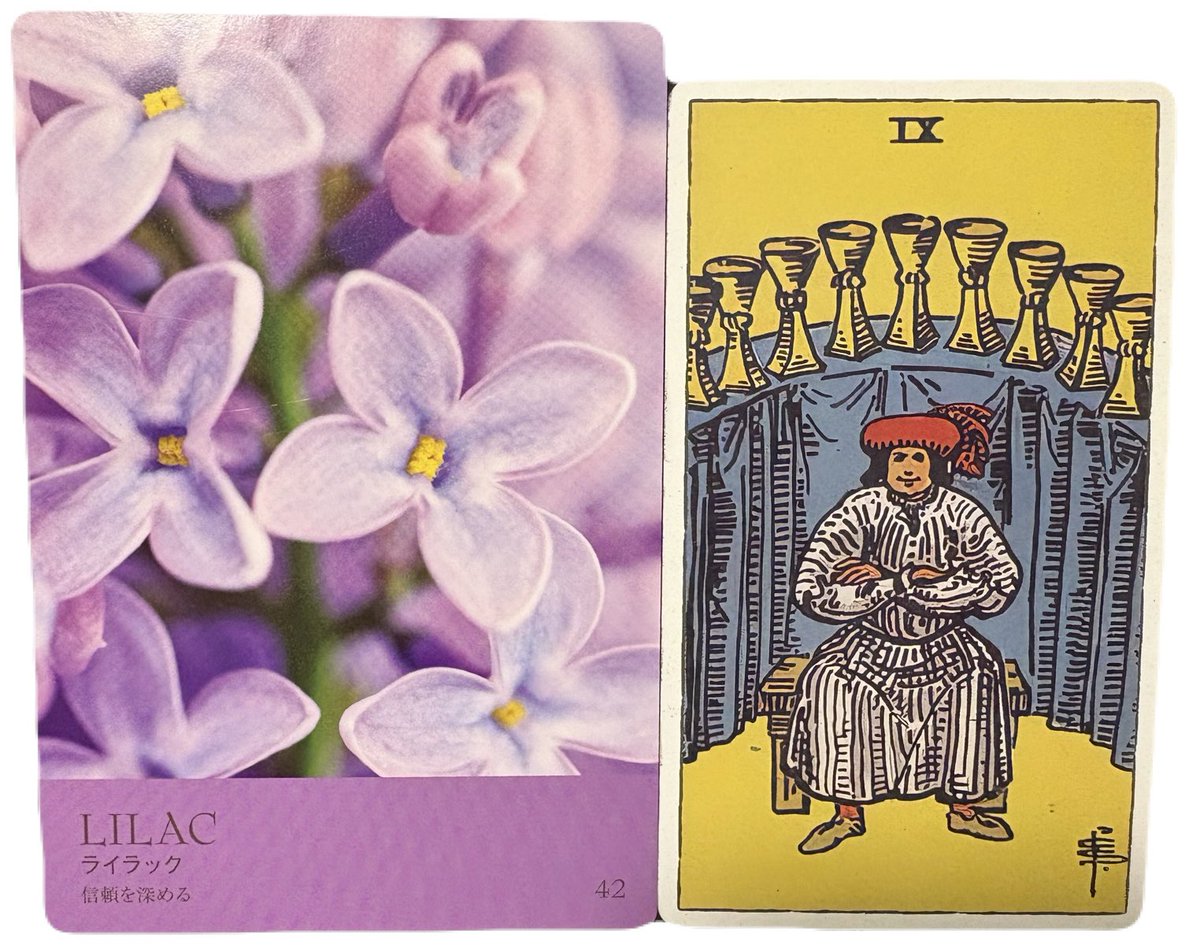 《今日のメッセージ🔮》
目の前のチャンスを掴める👍

願いが叶って心が満たされる！

満足感が増していき、
自信に満ち溢れる！

ただ、"初心忘れるべからず！"で
周りの人にも感謝を忘れずに！

天狗にならないこと☝️
すると信頼関係が築けるよ💕