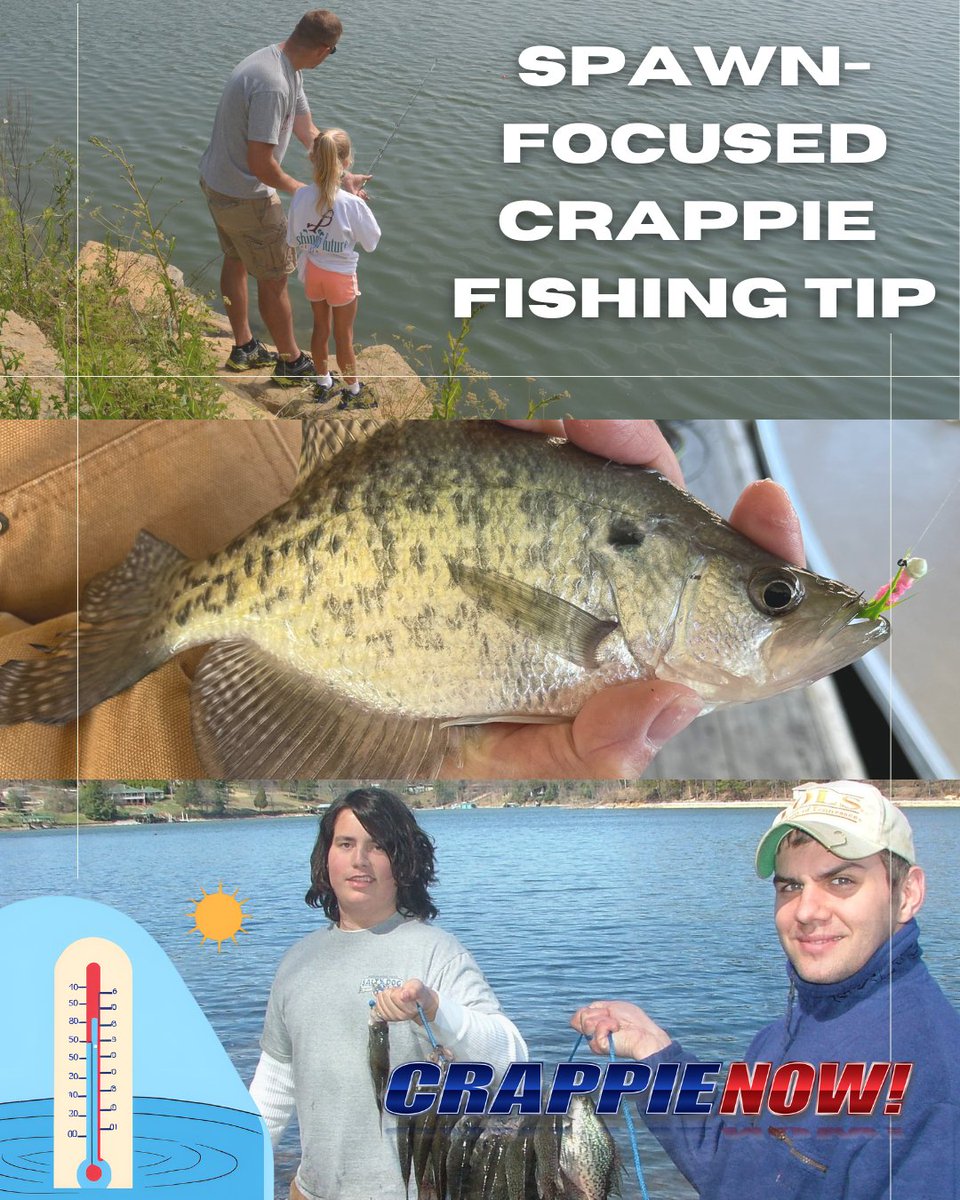 CrappieNow's tweet photo. Want to time the crappie spawn just right? Drop a thermometer under a bobber—if the water’s in the upper 60s, it’s game on! 🎣 Get more tips here: https://t.co/Ozk2Xffg6G
#CrappieFishing #FishingTips #SpawnSeason #WaterTemperature #CrappieNOW https://t.co/z8il2buva8