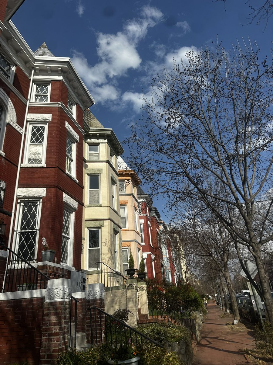 Madeline Piscetta tweet media