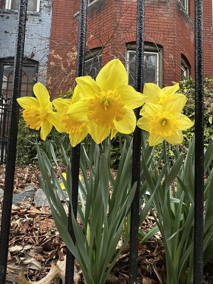 Madeline Piscetta tweet media