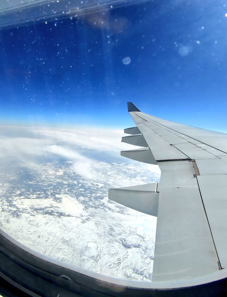 Sonia Matas 🦋 Albanime tweet media