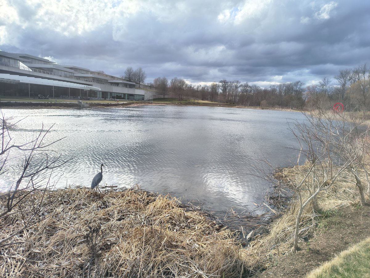 Had a wonderful time, thanks to the organizers, the participants, and all people at Janelia  that  we don't see and make this possible