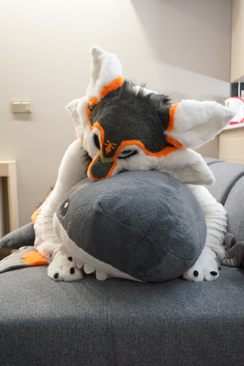 Shark time🦈

📷<a href="/Maaar10avali/">YourLocalAvali</a>
#FursuitsFriday #Avali