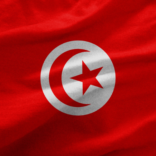 AfricanByArt's tweet photo. Tunisia: A land of rich history and independence. From Carthage to Tunis, Happy Independence Day! 

#Tunisia #IndependenceDay #Africanbyart https://t.co/gfXr38fHFH