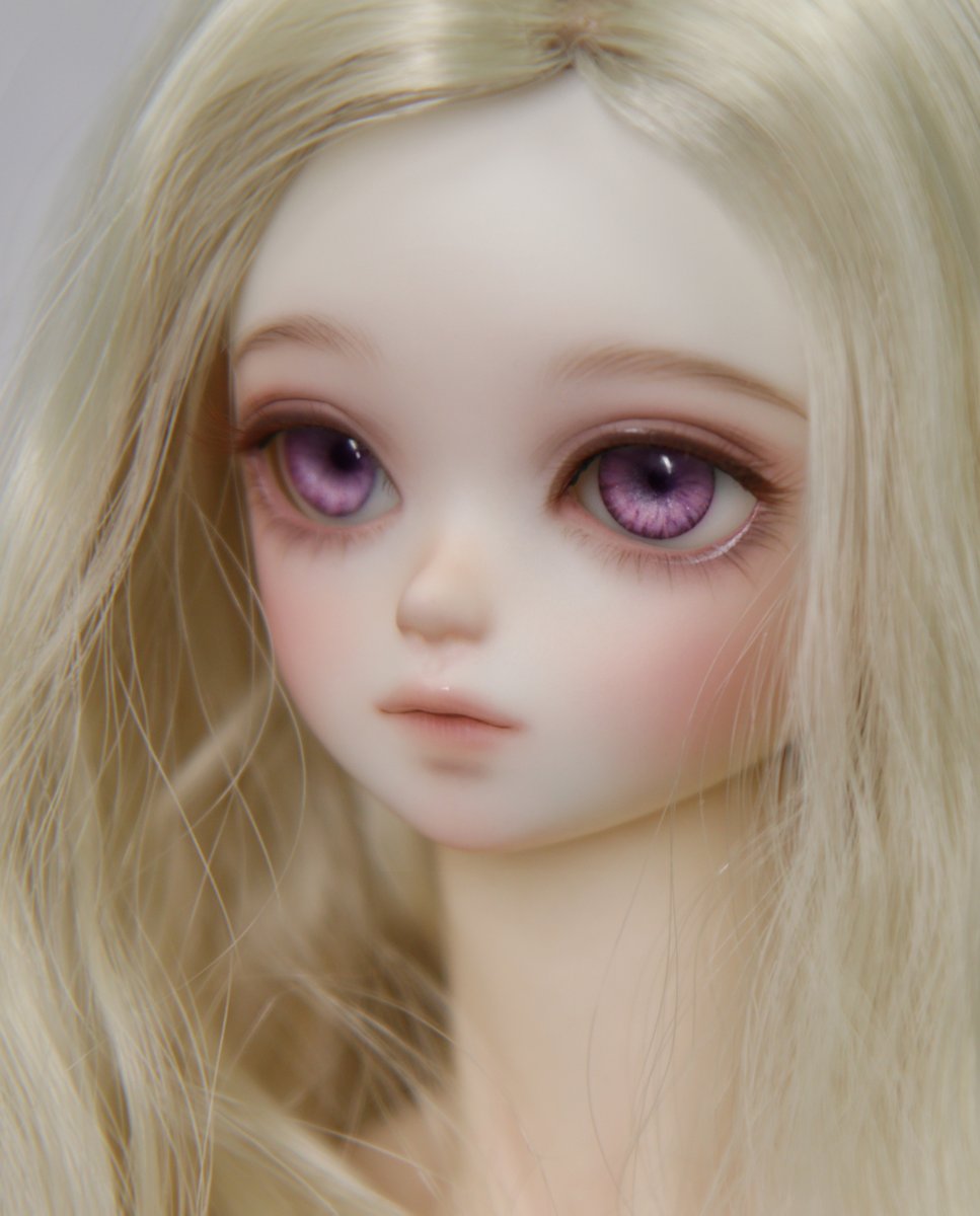 블루페어리 / 샬롯 / 스노우 화이트